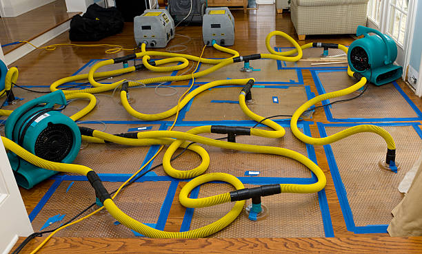 Professional Sewage Cleanup technician working in Spokane, WA